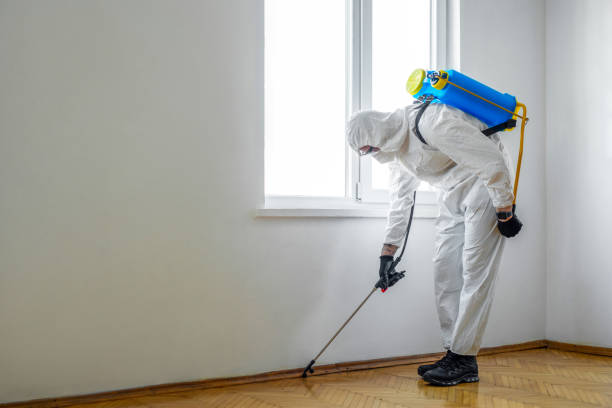 Best Pest Control for Businesses  in Olivia, MN