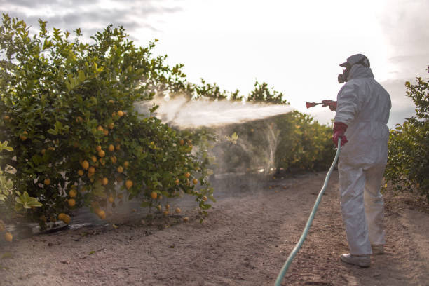 Trusted Olivia, MN Pest Control Experts
