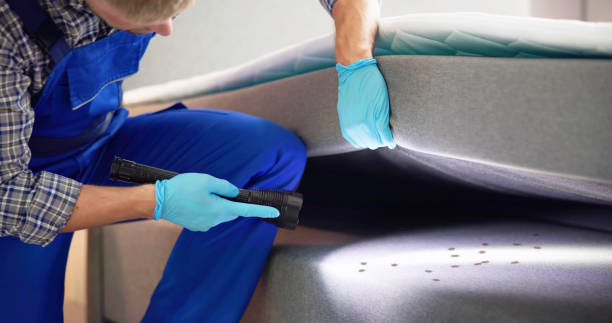 Best Ant Control Services  in Olivia, MN