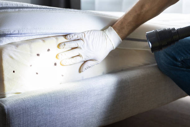 Pest Prevention Services in Olivia, MN