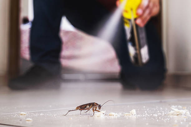 Best Pest Control Near Me  in Olivia, MN