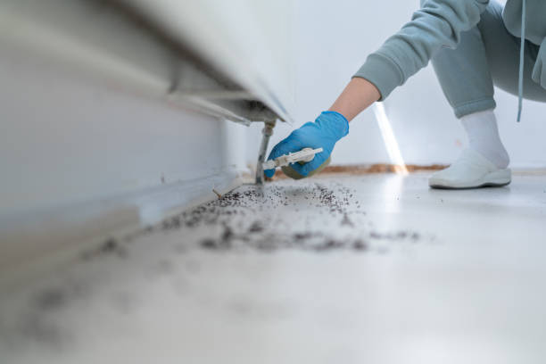 Best Commercial Pest Control Services  in Olivia, MN